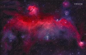 Seagull Nebula