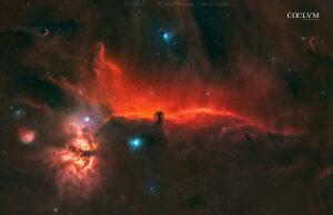 NEBULOSA TESTA DI CAVALLO