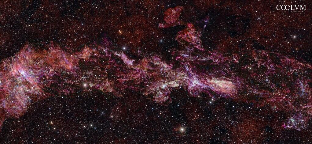 Largest ALMA image ever shows the molecular gas in the centre of L'immagine di ALMA finora più grande mostra la chimica nascosta nel cuore della Via Lattea (Crediti: ALMA(ESO/NAOJ/NRAO)/S. Longmore et al. Background: ESO/D. Minniti et al.)