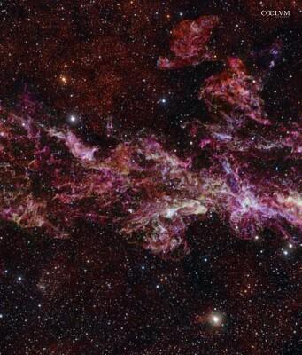 La più grande immagine di ALMA mostra la chimica nascosta nel cuore della Via Lattea L'immagine di ALMA finora più grande mostra la chimica nascosta nel cuore della Via Lattea (Crediti: ALMA(ESO/NAOJ/NRAO)/S. Longmore et al. Background: ESO/D. Minniti et al.)