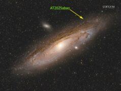 Transiente Catturato “al Volo”