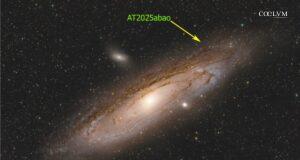 Transiente Catturato “al Volo”