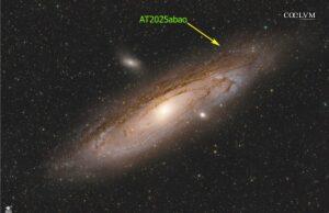 Transiente Catturato “al Volo”