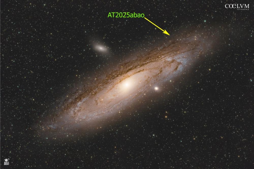 Transiente Catturato “al Volo”