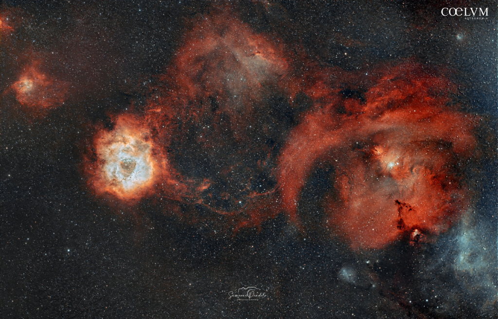 Largo campo Monoceros (Rosetta & NGC 2264)