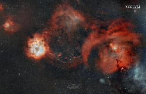 Largo campo Monoceros (Rosetta & NGC 2264)