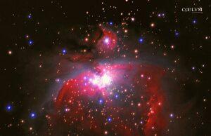 Nebulosa M42
