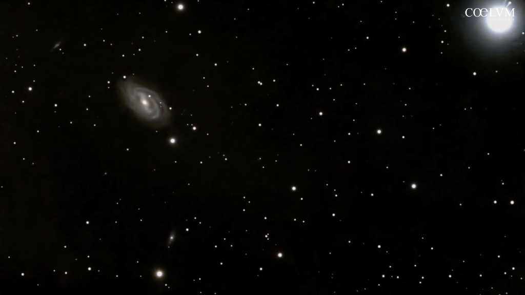 La maestosa M109 (NGC 3992), galassie compagne e la luce di Phecda