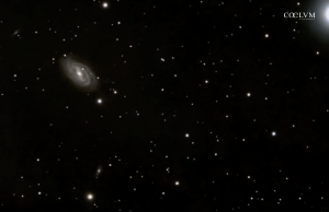 La maestosa M109 (NGC 3992), galassie compagne e la luce di Phecda