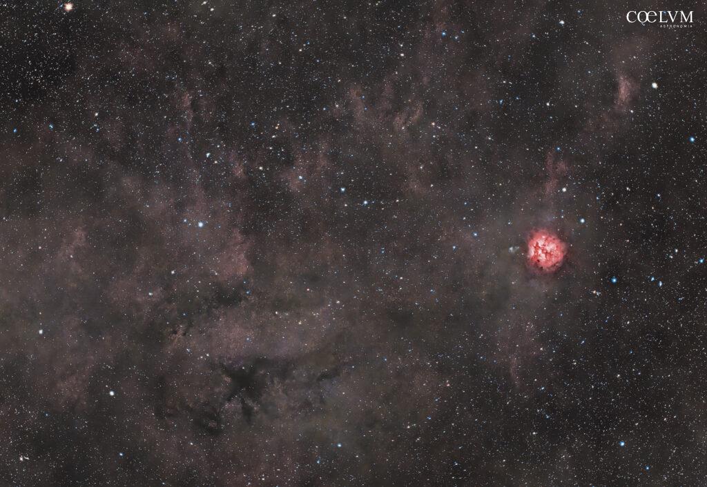 Nebulosa Cocoon (Bozzolo) IC 5146 con polveri cosmiche