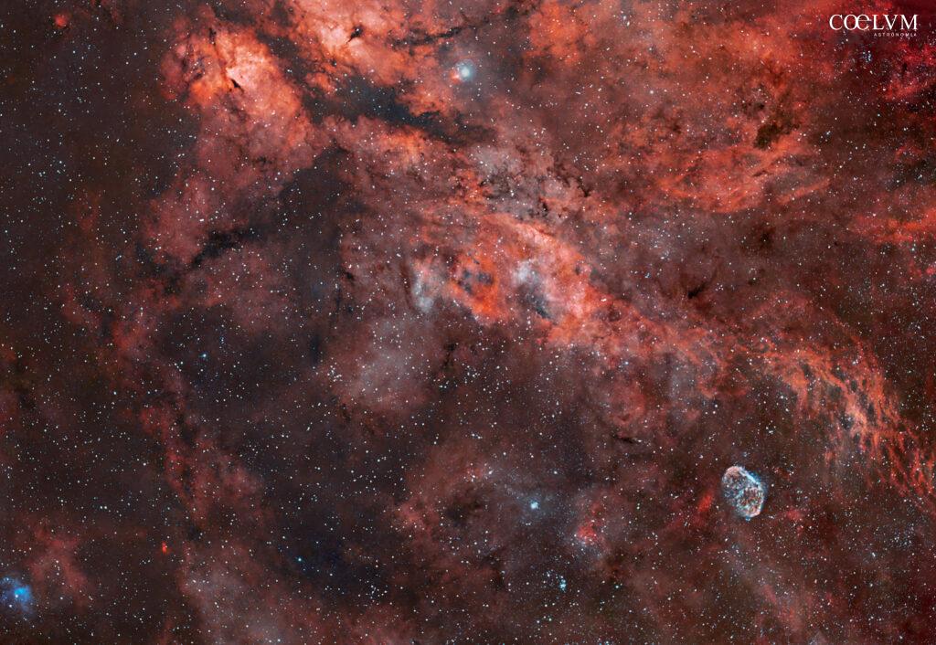 Campo nebulare del Cigno e nebulosa Crescent Ngc6888
