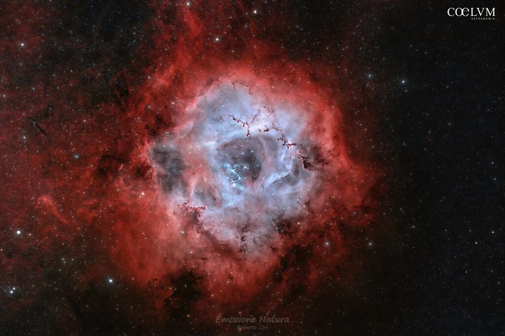 UNA ROSA SBOCCIATA NEL COSMO