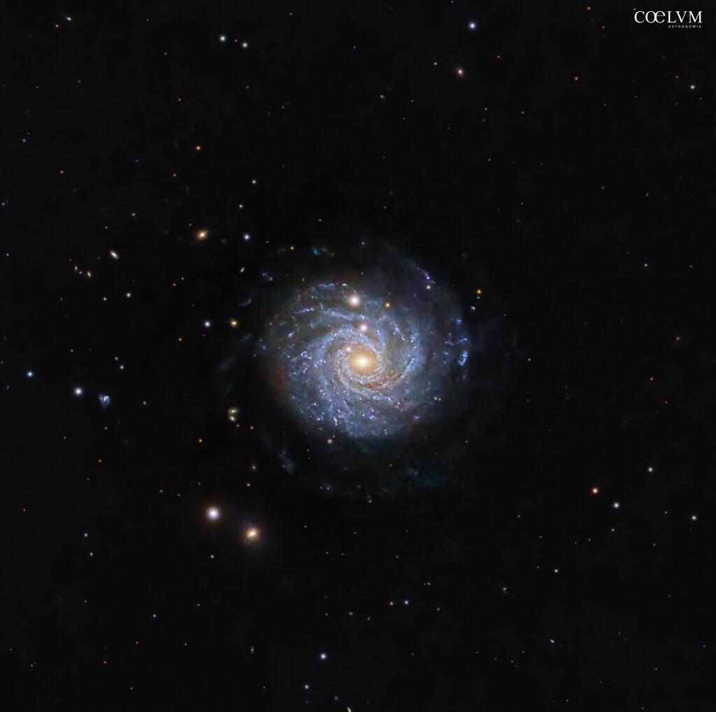 NGC 3344: galassia “Cipolla Affettata”