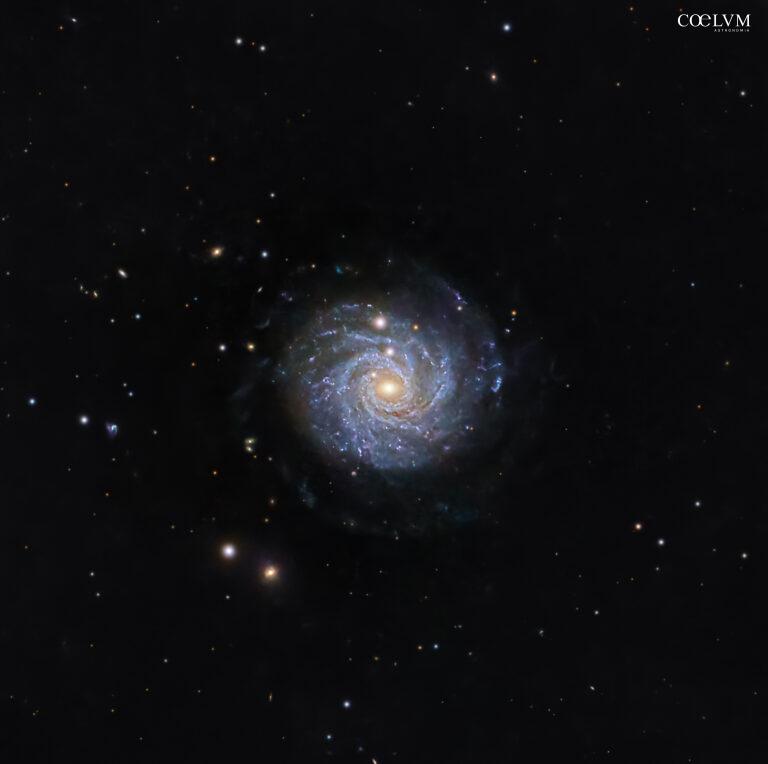 NGC 3344: galassia “Cipolla Affettata”
