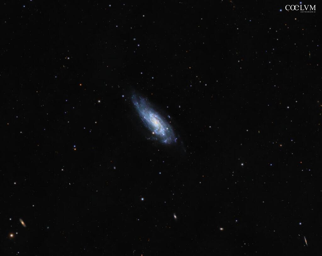 NGC 4559