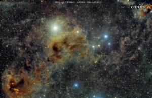 SH2-239 – LBN819 – SH2-238