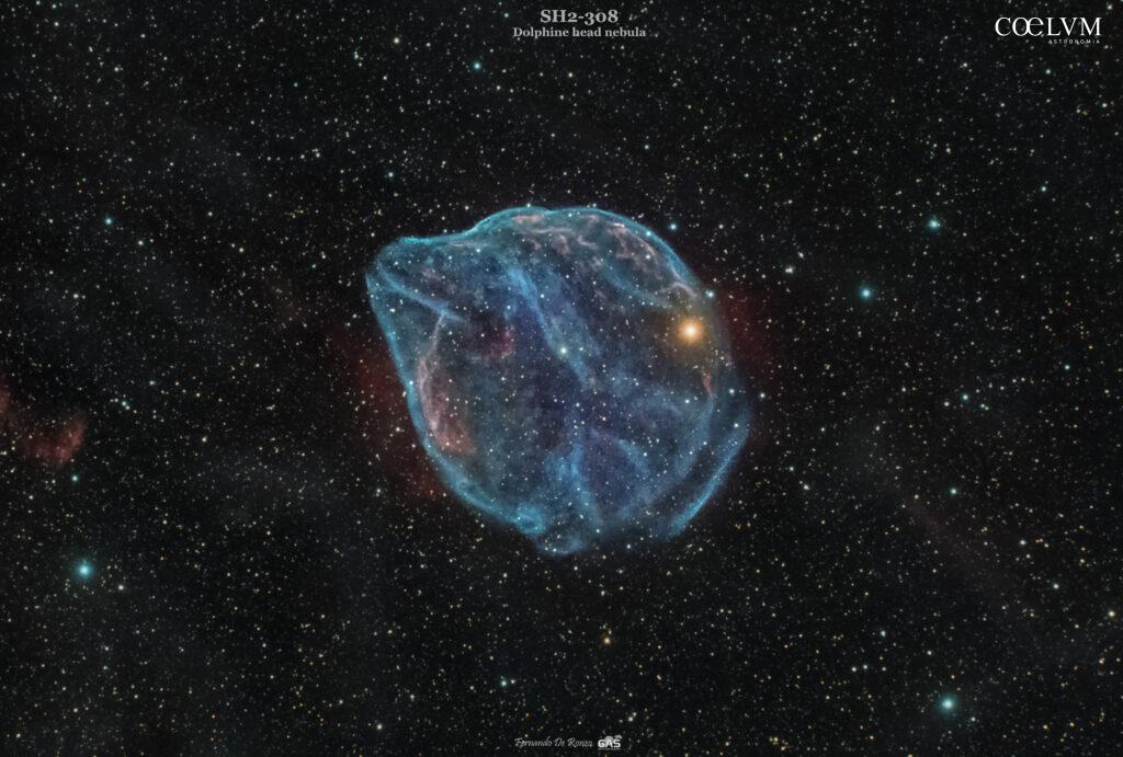 SH2-308 – The Dolphine head nebula