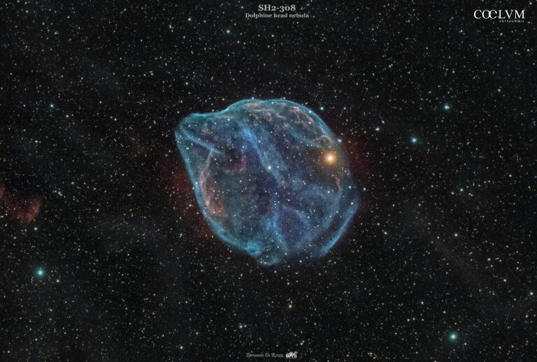 SH2-308 – The Dolphine head nebula