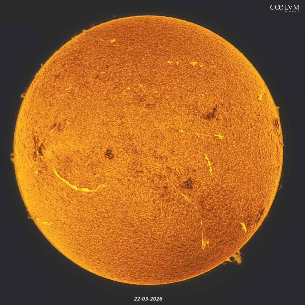 Sole H-Alpha