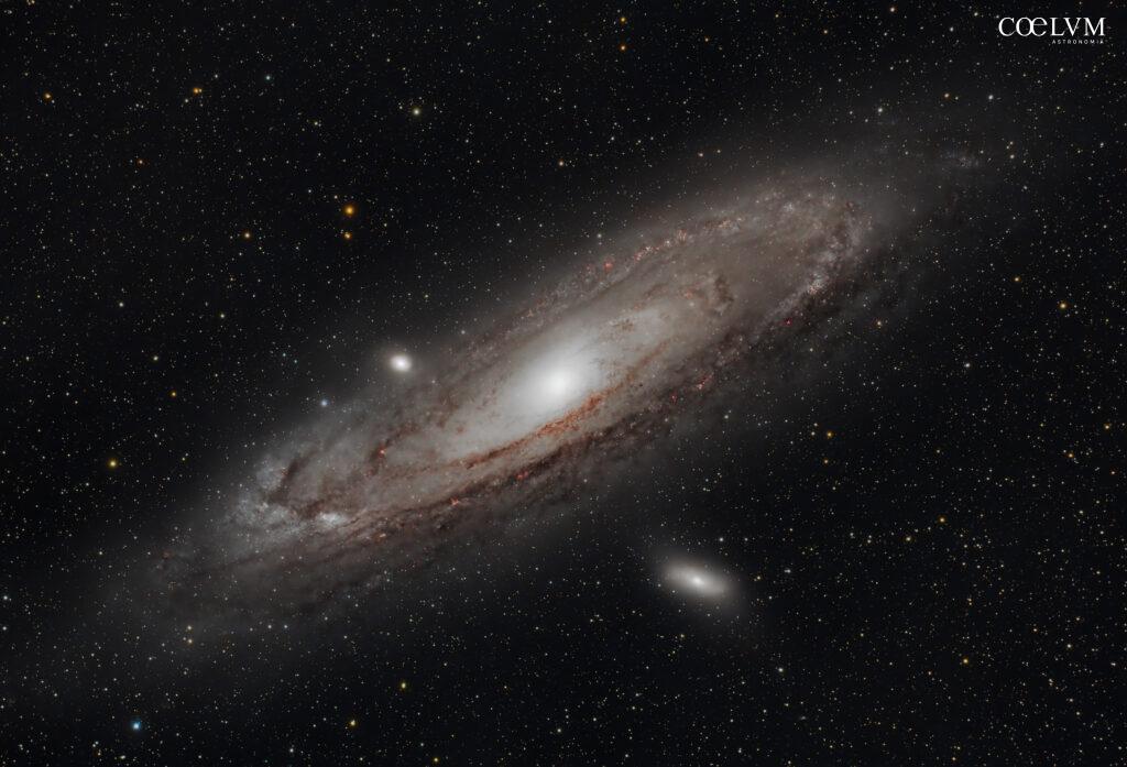 M31-Galassia di Andromeda