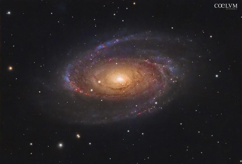 M81-Galassia di Bode