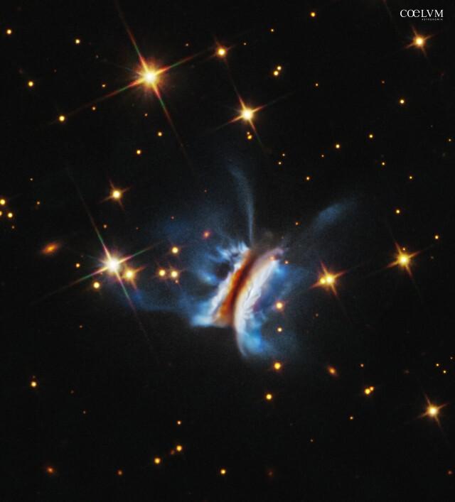 Circumstellar disc IRAS 23077+6707