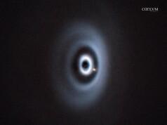 Baby’s First Photo di un Esopianeta