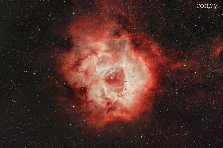 ROSETTA NGC2237