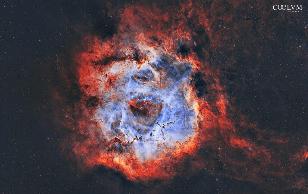 Nebulosa Rosetta (NGC 2237)