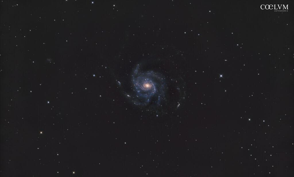 M101 E LE COMPAGNE DEBOLI