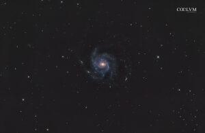 M101 E LE COMPAGNE DEBOLI