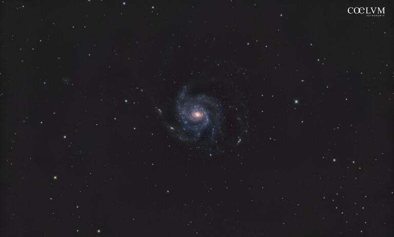 M101 E LE COMPAGNE DEBOLI