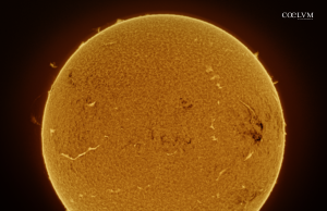 Disco solare in h alpha