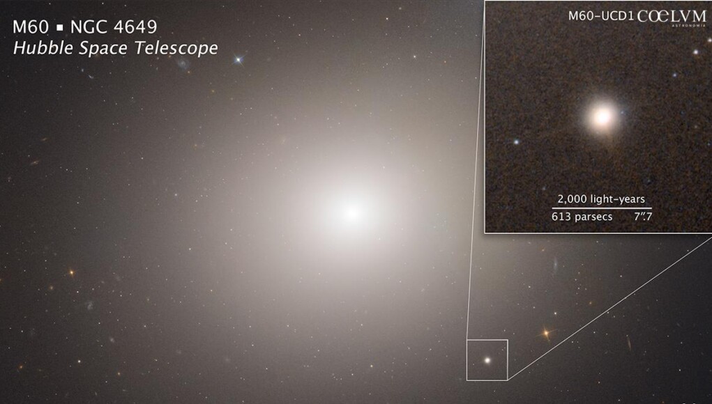Compass and Scale Image