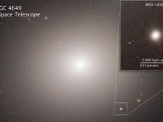 Vento stellare che accresce il buco nero supermassicio di M60-UCD1