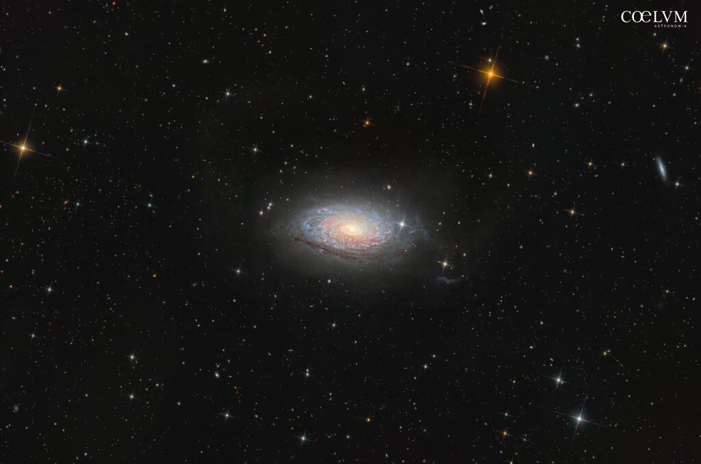 La Galassia Girasole