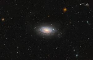 La Galassia Girasole