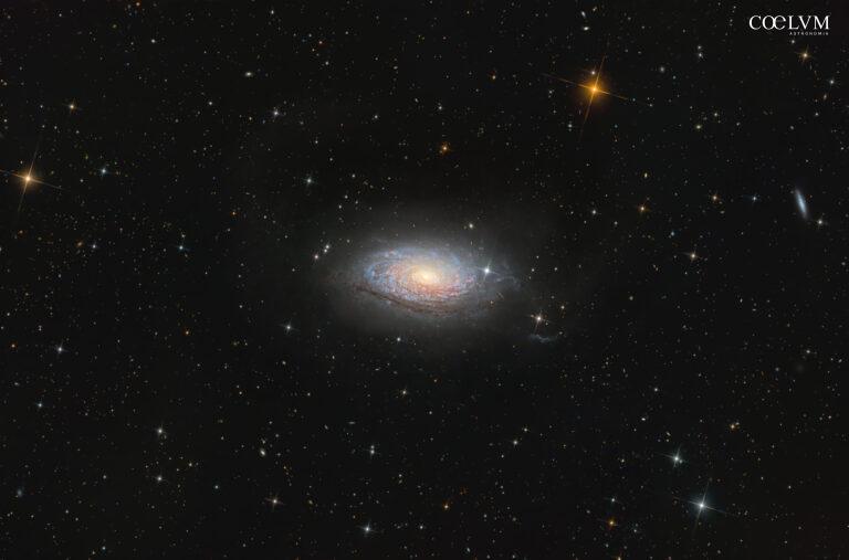 La Galassia Girasole