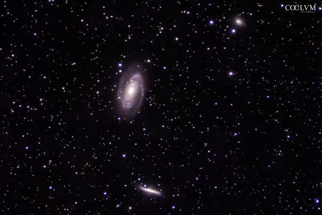 Galassia di Bode (M 81), Galassia Sigaro (M 82) e Galassia Ghirlanda (NGC 3077