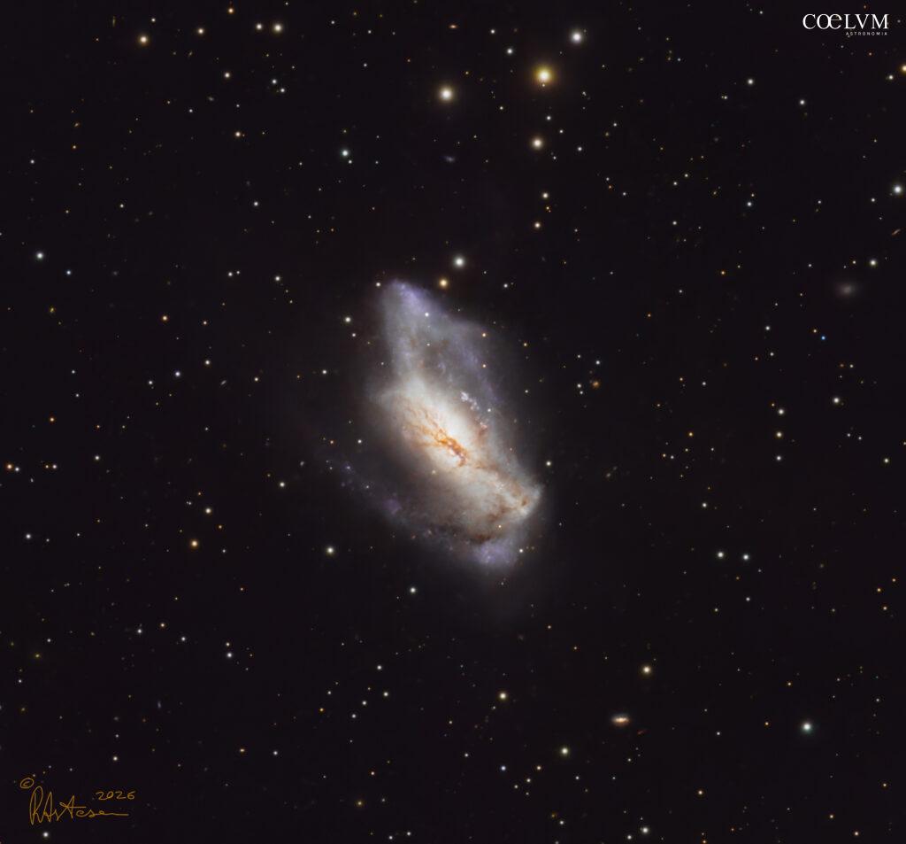 NGC2146 Dusty Hand Galaxy