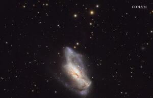 NGC2146 Dusty Hand Galaxy