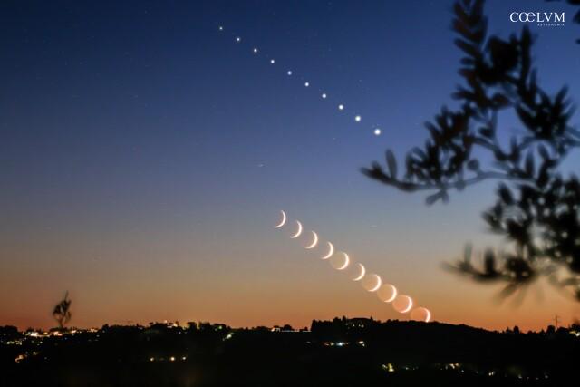 Luna_Venere_9nov2024_Coelum_Mauro Muscas
