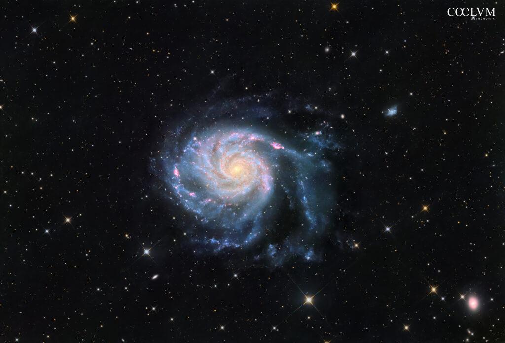 M 101