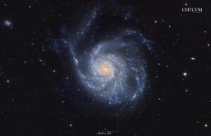 M101 – La Galassia Girandola a 1600 mm