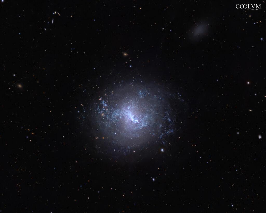 NGC 4214: galassia nana nei Cani da Caccia
