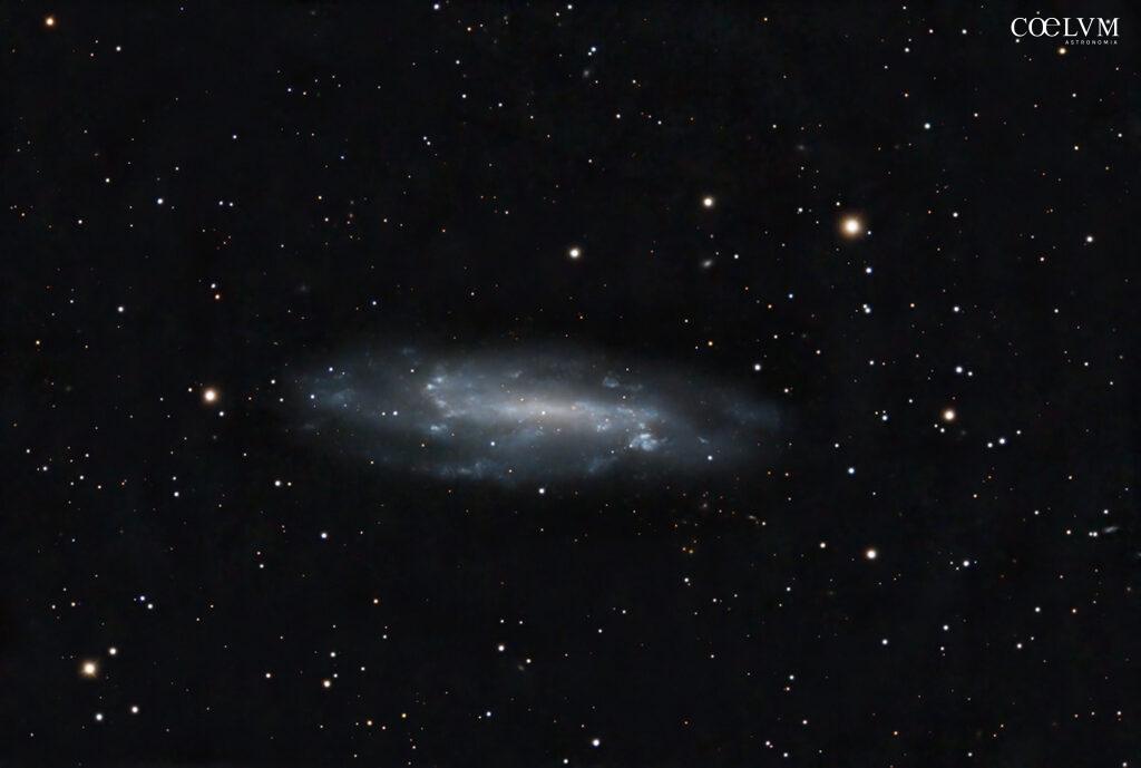 Galassia NGC 4236