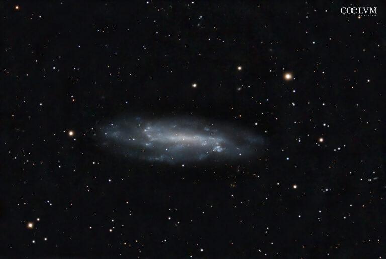 Galassia NGC 4236