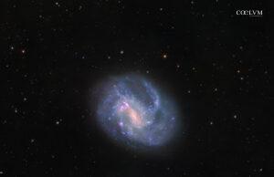 NGC 4395: galassia a spirale nei Cani da Caccia