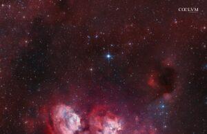 Identikit di una “Zampa” in fiamme!