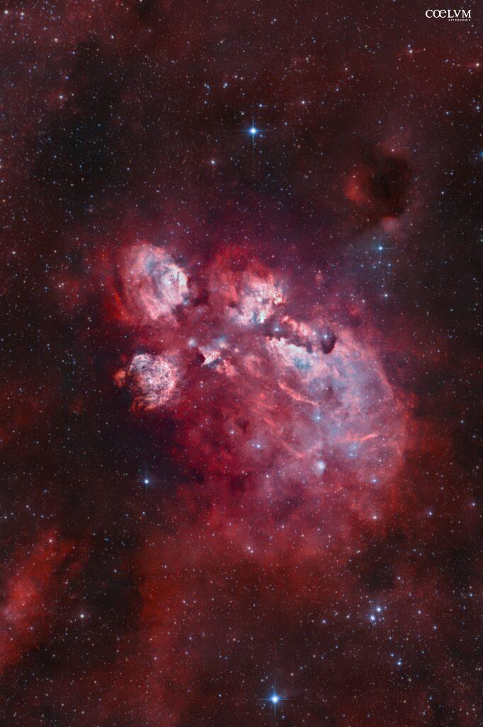 Identikit di una “Zampa” in fiamme!